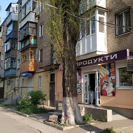 Двухкомнатный Люкс Центр Металлургов 19 Kr Apartments ครือวอยร็อก ภายนอก รูปภาพ